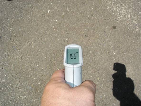 paddock heat